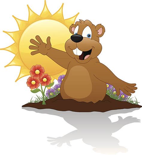 Royalty Free Groundhog Shadow Clip Art, Vector Images & Illustrations - iStock