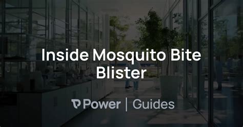 Inside Mosquito Bite Blister | Power