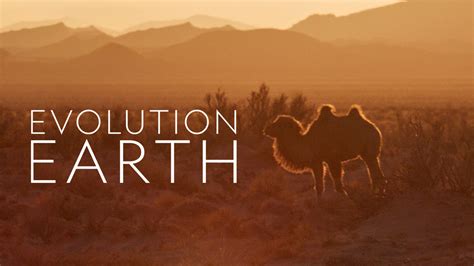 Evolution Earth - PBS Docuseries - Where To Watch