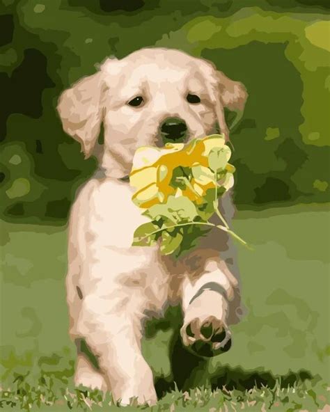 MaHuaf i649 A puppy holding a flower on the grass DIY painting by ...