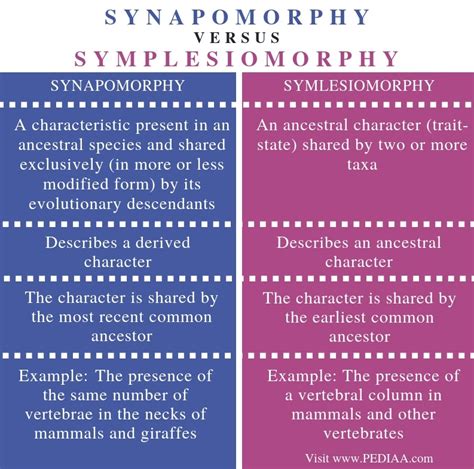 What is the Difference Between Synapomorphy and Symplesiomorphy - Pediaa.Com