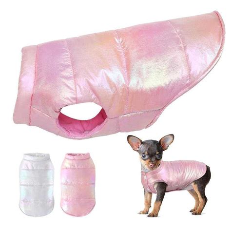 Teacup Chihuahua Clothes: The Ultimate Guide For Owners - Chihuahuas Blog