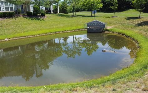 retention ponds - IDEAS For Us