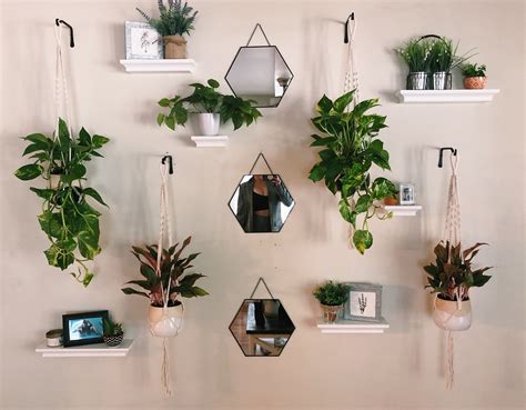 indoor garden wall | Indoor plant wall, Indoor plant shelves, Indoor plants