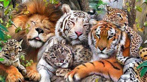 Big Cats, leopards, tigers, nature, bonito, cats, animals, lions, HD wallpaper | Peakpx