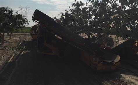 Pistachio Harvesting - SS Sprayers