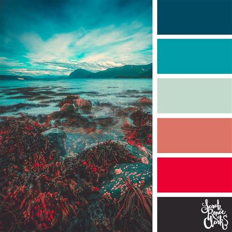 25 Color Palettes Inspired by Ocean Life and PANTONE Living Coral ...