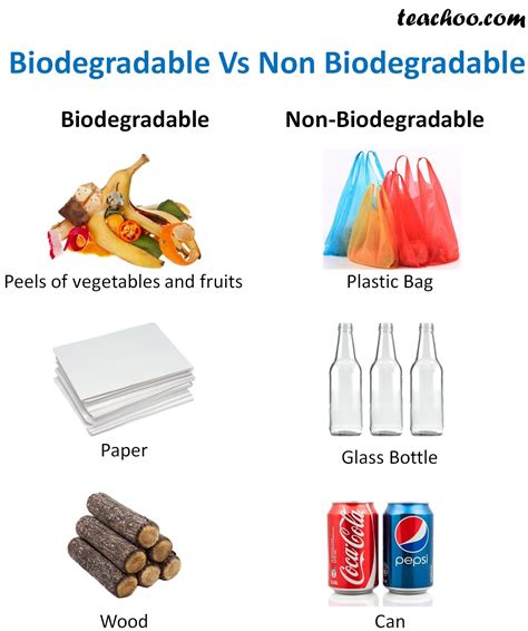 What are Biodegradable and Non Biodegradable materials - with Examples