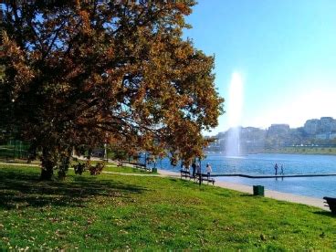 Ada Ciganlija | Belgrade - What to Expect | Timings | Tips - Trip Ideas by MakeMyTrip