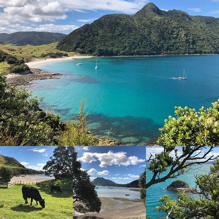 Bream Head Coast Walks (Whangarei) - 2019 What to Know Before You Go (with Photos) - TripAdvisor