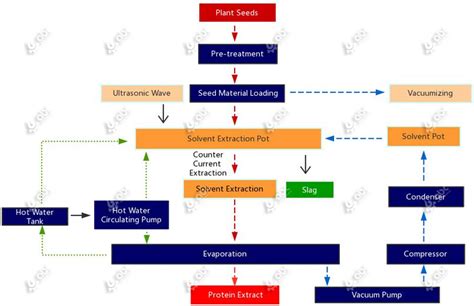 Professional Plant Protein Extraction Protocol for Protein Production