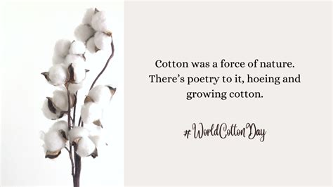 World Cotton Day Facts, History, Quotes, and Theme