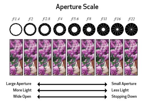 Big aperture and smaller aperture lens difference - hrommicro