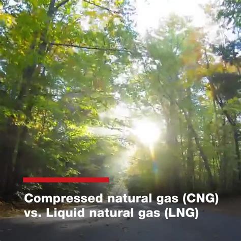 Natural gas (CNG) vs. LPG, LNG, RNG and Diesel | Cummins Inc.