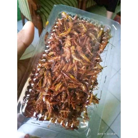 belalang goreng utes | Shopee Indonesia