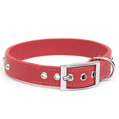 Skull And Crossbones Leather Dog Collar By Petiquette Collars | notonthehighstreet.com