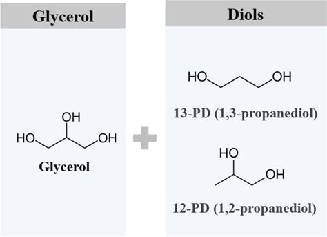 Atomic structure of glycerol, 1,3-propanediol, and 1,2-propanediol... | Download Scientific Diagram