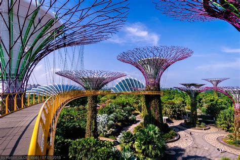 OCBC Skyway Singapore - Gardens by the Bay - Tickets