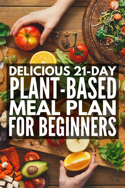 15 Simple Plant Based Diet Meal Plan for Beginners - Best Product Reviews