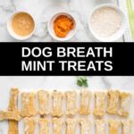 Homemade Dog Breath Mints - Spoiled Hounds