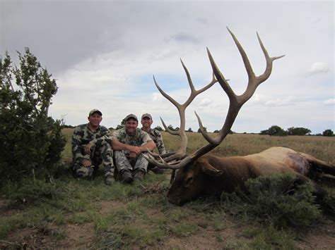 Colburn and Scott Outfitters: Arizona Elk Hunts