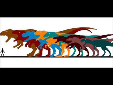 Carcharodontosauridae Size Comparison - YouTube