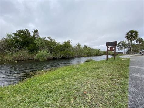 Shark Valley Visitor Center Everglades | Miami Top 5