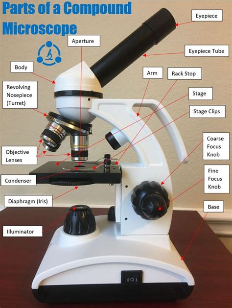 Parts of a Compound Microscope: Diagrams and Video | Microscope ...