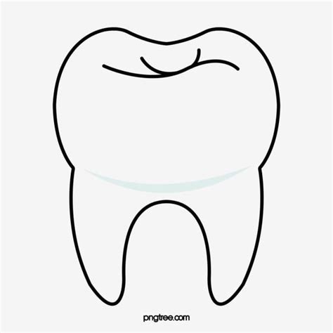 Dente De Desenho Animado PNG , Clipart Dos Desenhos Animados, Clipart ...