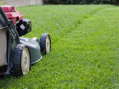 Tips For Mastering The Ultimate Lawn Care Course - Ozar Krock Exchange