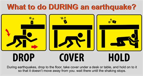 Staying Level: Earthquake Preparedness and Safety