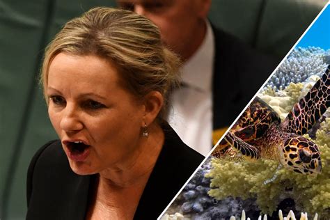 Australia blindsided by UN push to downgrade Great Barrier Reef