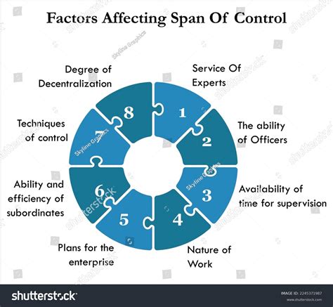 Eight Factors Affecting Span Control Infographic Stock Vector (Royalty ...