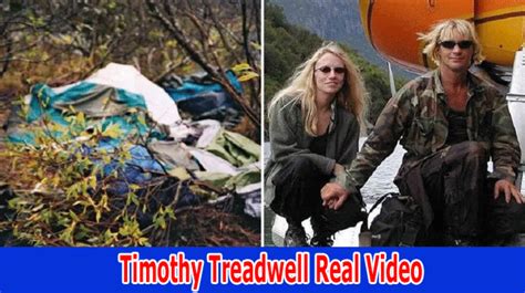 Timothy Treadwell Real Video