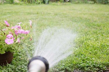 Tips on Reseeding a Lawn | Hunker