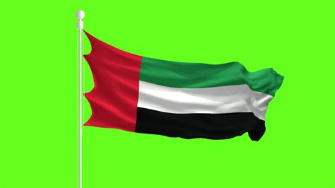 Uae Waving Flag Stock Video Footage for Free Download