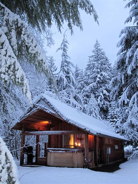 Mt. Rainier National Park Lodging | Romantic Rainier Cabin at Mt ...