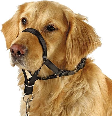 Dog Head Collar, No Pull Training Tool for Dogs on Walks, Includes Free Training Guide, 5 (S ...