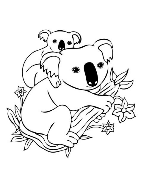 Free Printable Koala Coloring Pages For Kids | Bear coloring pages ...