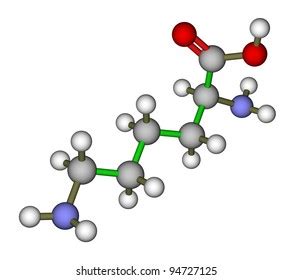 Essential Amino Acid Lysine Molecular Structure Stock Illustration ...