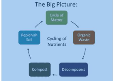 How Nutrients are Replenishment of nutrients in the soil @ BYJU'S