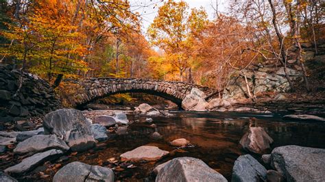 Photos of Fall Colors in Rock Creek Park (DC Foliage Guide)