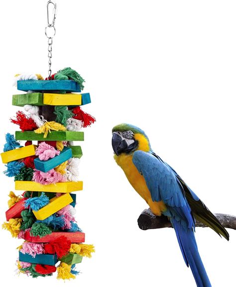 Amazon.com : RAINBOWPK Natural Wooden Chewing Bird Toys for Parrots ...