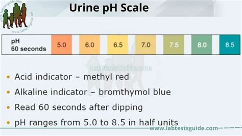 Urine PH: Importance, Normal Range, Factors Affecting PH,, 43% OFF