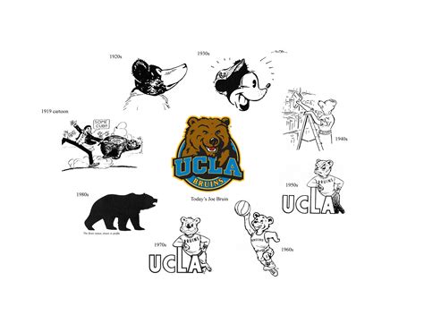 A New Name and a New Mascot | UCLA 100