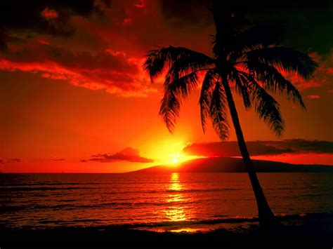 wallpapers: Island Sunset Wallpapers