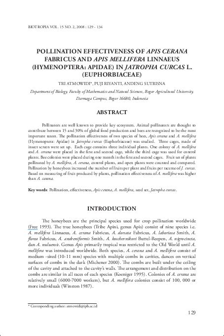 (PDF) Pollination effectiveness of Apis cerana Fabricus and Apis mellifera Linnaeus (Hymenoptera ...