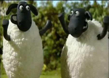 Shaun The Sheep Timmy GIF - Find & Share on GIPHY Cartoon Gifs, Cartoon ...