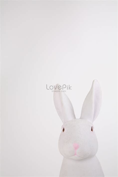 กระต่ายสีขาว, HD ภาพถ่ายกระต่าย, กระต่ายขาว, สีขาว ดาวน์โหลดฟรี - Lovepik