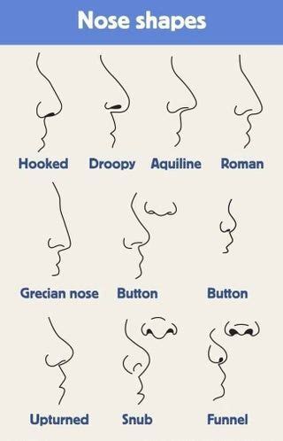 Types of noses. All of them are unique, don’t change it. : coolguides | Nose types, Nose shapes ...